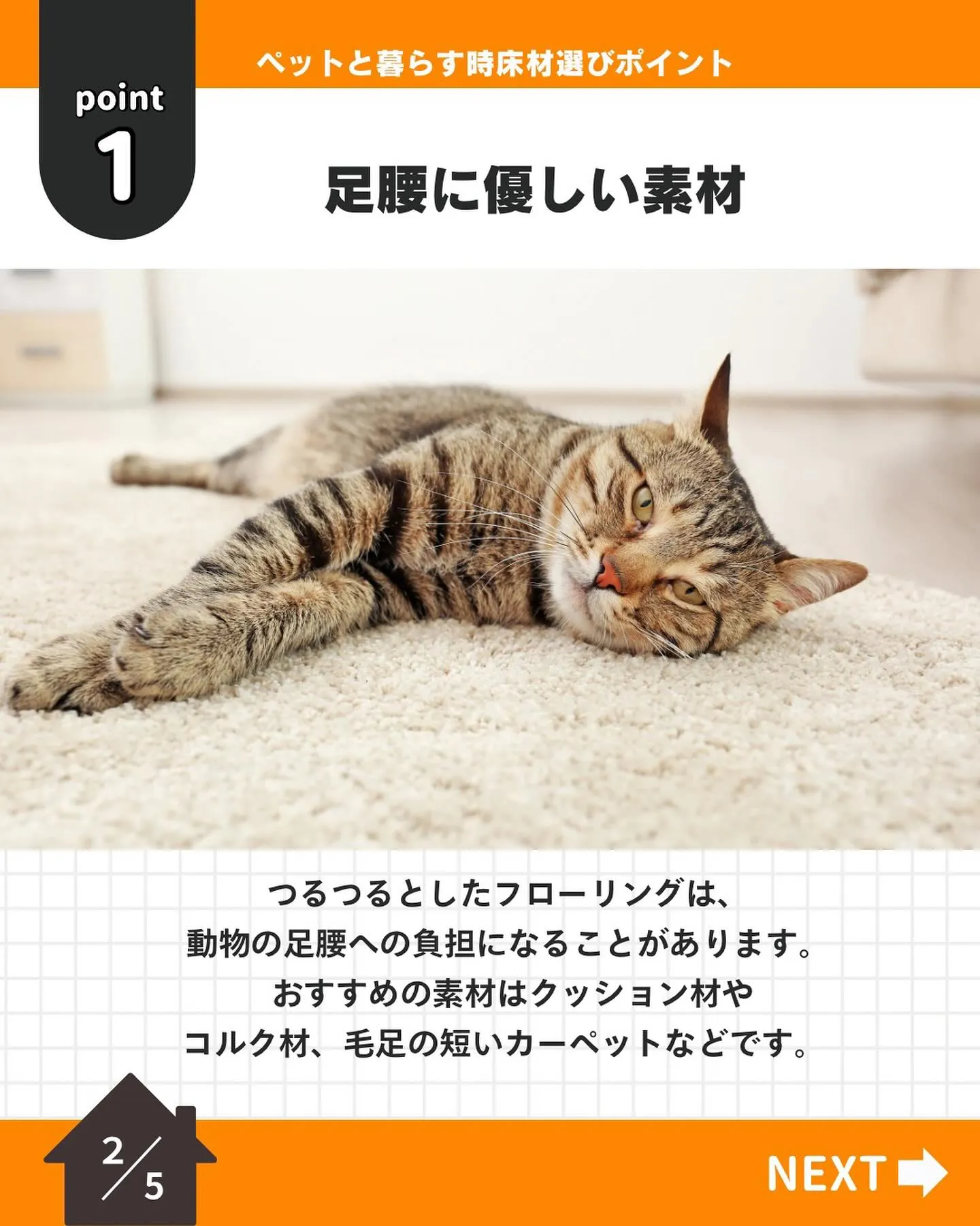 【ペット飼い主必見！】